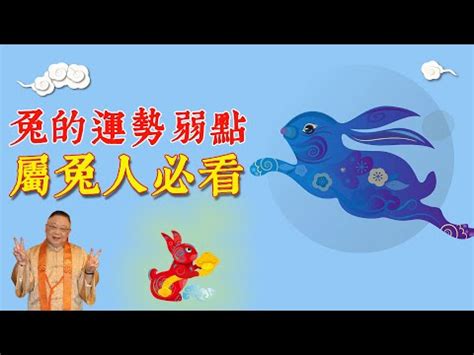 生肖兔配對|生肖配對｜屬兔12生肖夫妻配對表！最佳姻緣及相沖排